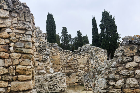 antique ruins - remains of stone walls among cypresses