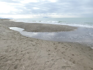 Mare