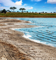 African landscape