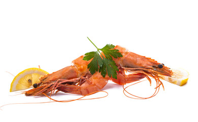 boiled shrimp isolated