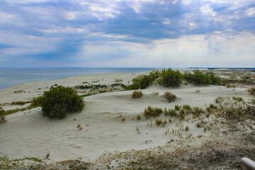 view of the sunny beach
