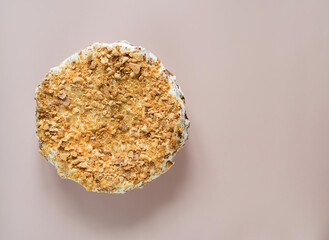Honey cake with sour cream on a powdery plain background