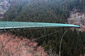 杣の大吊橋