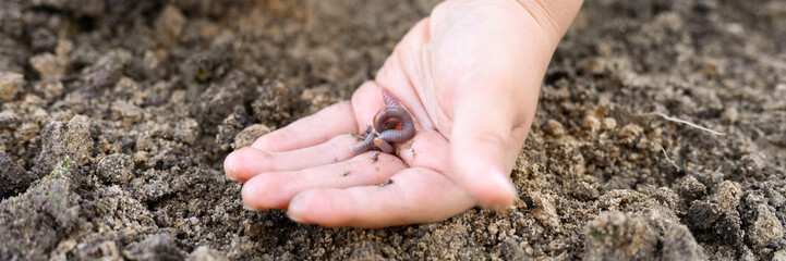 an earthworm in kid's hands on spring in the garden. banner