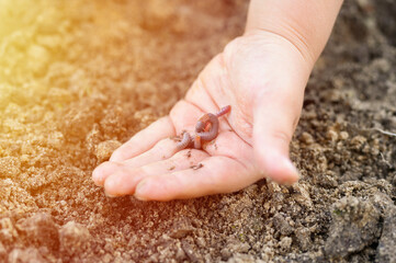 an earthworm in kid's hands on spring in the garden. flare