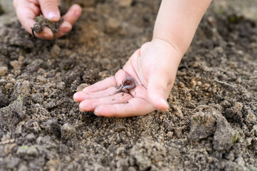 an earthworm in kid's hands on spring in the garden