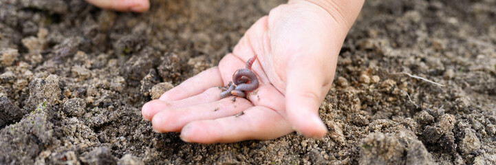 an earthworm in kid's hands on spring in the garden. banner