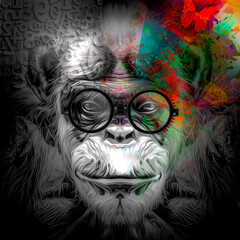 portrait of a monkey. Evolution concept