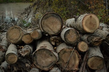 stack of wood