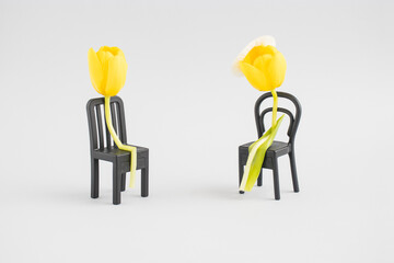 A creative composition with flowers sitting on a chair. Minimal nature love concept. Mother's day or Valentines idea.