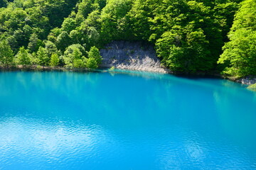 コバルトブルーの湖水、初夏の玉川ダム。仙北、秋田、日本。５月下旬。