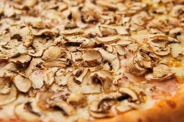 Delicious pizza with mushrooms  and hum on green grass background
