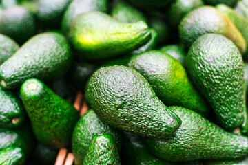 Avocado fruits on the counter of a grocery store. Close-up