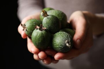 Woman holding fresh green feijoa fruits on black background, closeup