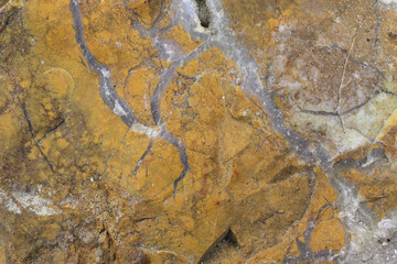 yellow jasper from Italy for background use