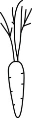 single hand drawn carrot illustration in doodle style in vector
