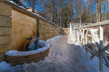 Spa park in winter - Forest Spring Marianske Lazne (Marienbad) - Czech Republic
