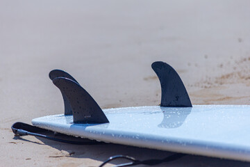 Fins of a surf board on a sandy beach