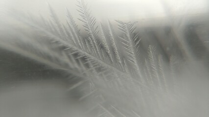 White feathery crystals for background