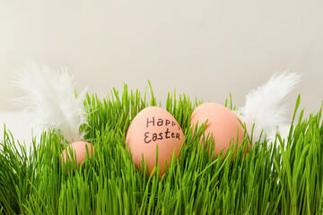 Easter eggs on grass against light background