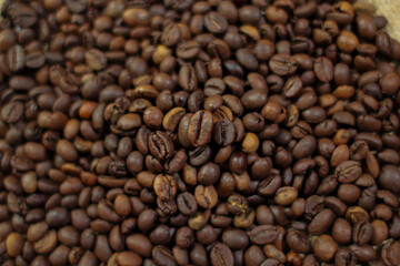 variety of roasted arabica and robusta coffee beans from Indonesia,