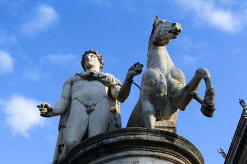 Obraz premium Marble statue of Polluce Dioscuri. The sculpture is located on Michelangelo Cordonata stairs and leading to Piazza del Campidoglio. Rome, Italy