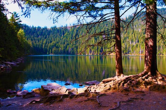 Black Lake In Sumava In The Czech Republic.