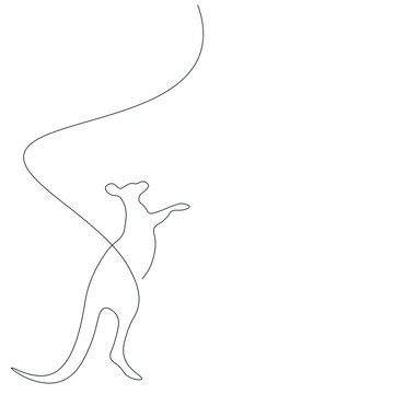 Kenguru animal silhouette line drawing, vector illustration