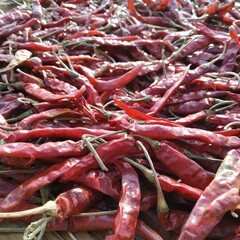 Dried chillis 