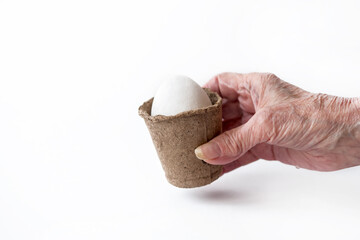Ecological concept with Easter white eggs in peat pots on a white background.