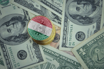 golden shining bitcoins with flag of hungary on a dollar money background.