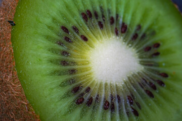 Kiwi