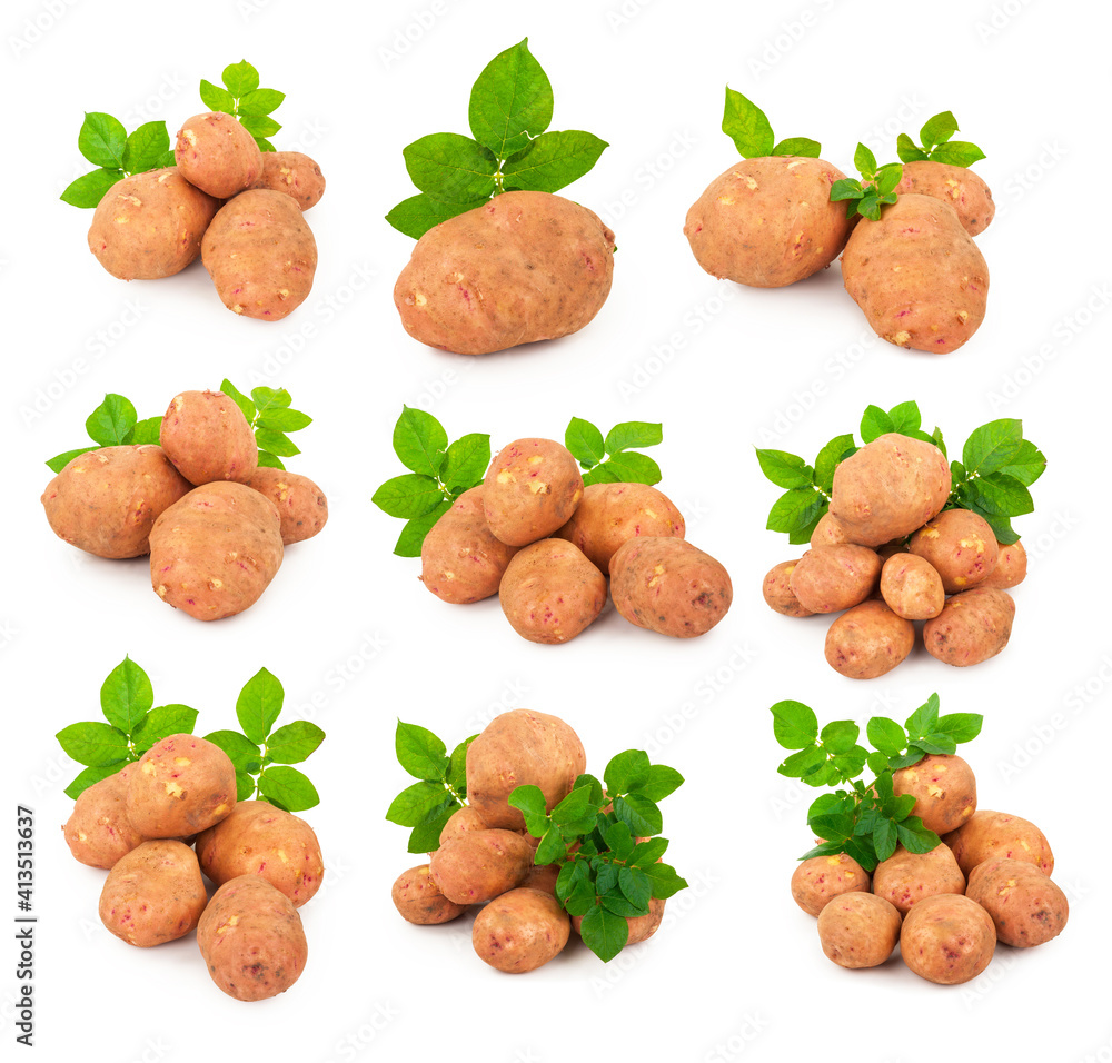 Poster set of red potatoes with leaves on a white