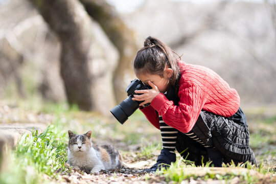 猫の写真を撮影する少女