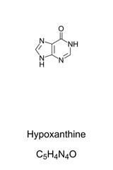 Hypoxanthine, chemical formula and skeletal structure. Naturally occurring purine derivative and constituent of nucleic acids. Necessary additive as substrate and nitrogen source. Illustration. Vector
