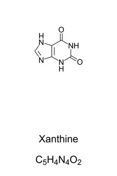 Xanthine, chemical formula and skeletal structure. Xanthic acid, a purine base, found in human body tissues and fluids. Used as a drug precursor and as a pesticide ingredient. Illustration. Vector.