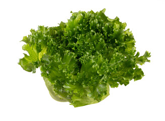 Fototapeta premium Salad leaves Bio lettuce isolated on white background.
