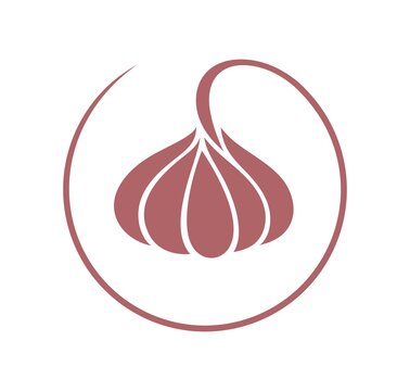 Garlic logo. Isolated garlic on white background