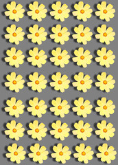 A pattern with yellow Cosmea flowers on a gray background.