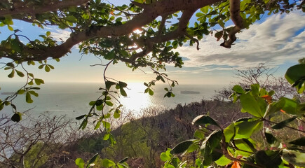 Beautiful view of the sea and coastline in Vung Tau. Trees and Slopes. Vietnam. South-East Asia