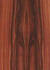 Santos Palisander