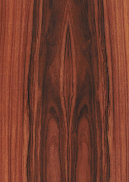 Santos Palisander
