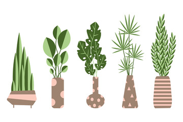 set of home plants in vases, pots, stylized vector graphics, decorative monstera leaves