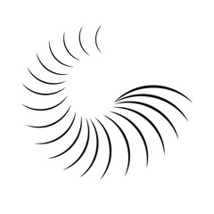 Lines in Circle Form . Spiral Vector Illustration .Technology round. Wave Logo . Design element . Abstract Geometric shape .