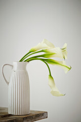White calla lilies in a vase 