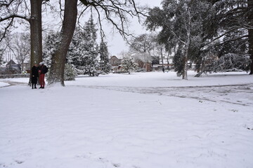 Thabor, rennes, neige