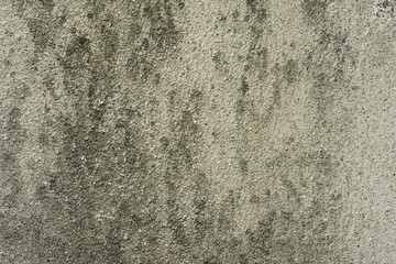 gray wall texture rough background abstract concrete floor. Cement grunge background with white empty.