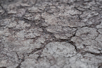 Close up ground crack with selective focus.