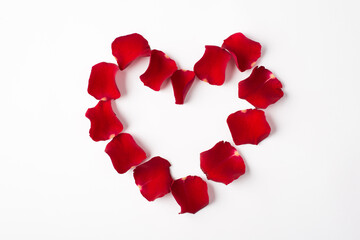 Close up flat lay photo image of red bright rose petals isolated white background