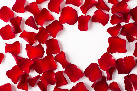 Closeup photo of background made of rose flower petals and heart shape with blank empty space